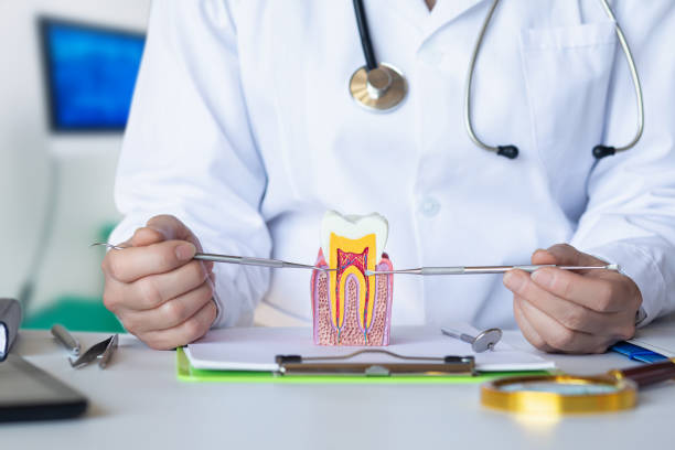 Best Broken or Chipped Tooth Repair in Huntertown, IN